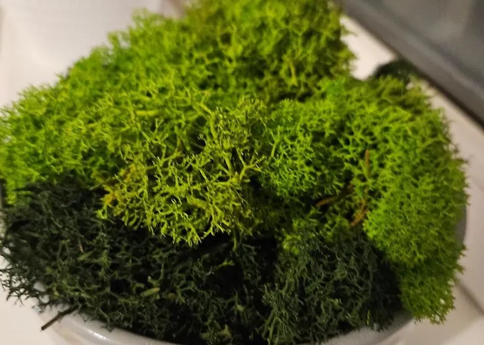 Warszawska Blisko Dworzec Pkp Apartament *